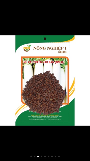Hạt giống củ cải tuyển cao sản - gói 20 gr