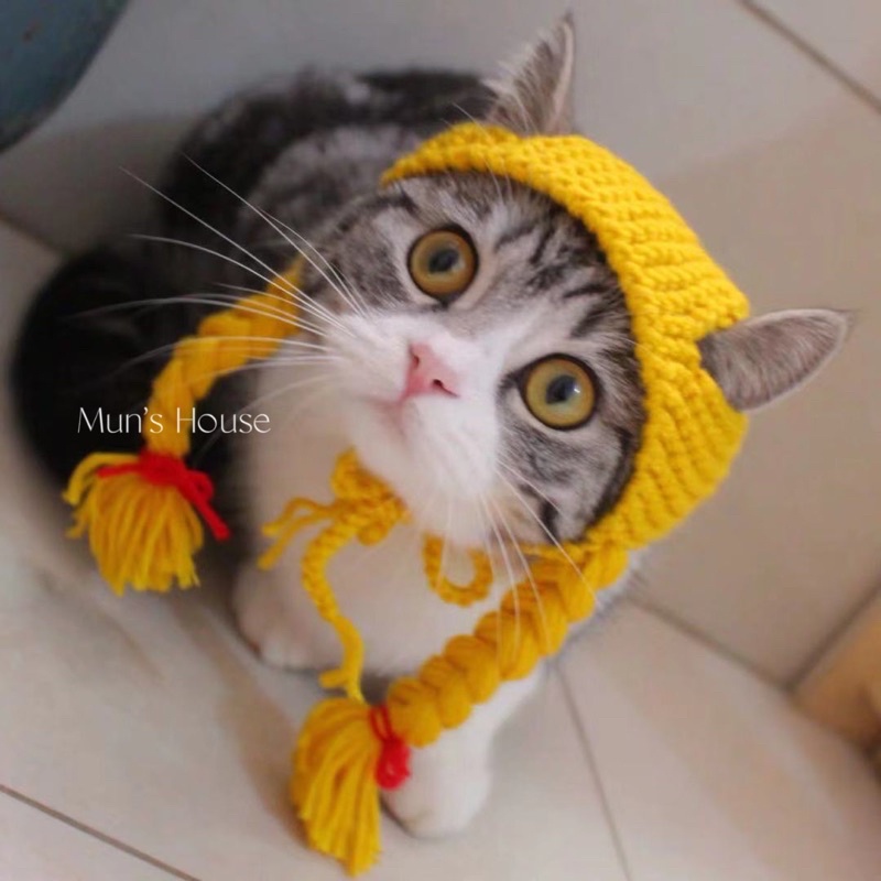 Mũ đội bím tóc hai bên cho chó mèo