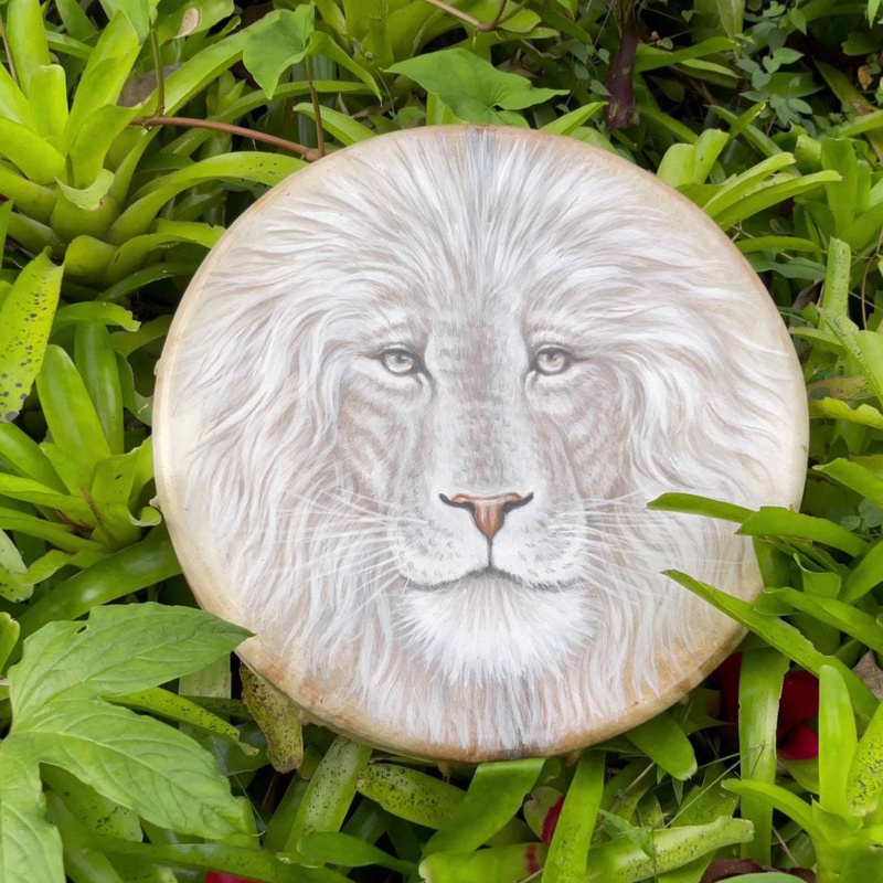 Trống Shamanic Thủ Công Dùng Trang Trí Văn Phòng Độc Đáo