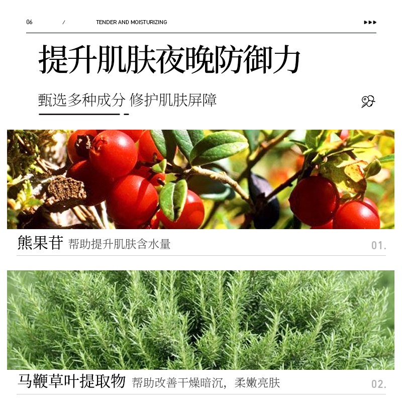 Mặt Nạ Ngủ Dạng Thạch Chiết Xuất Quả Việt Quất Dưỡng Ẩm Làm Sáng Tông Màu Da Dùng Một Lần