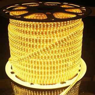 LED dây siêu sáng SMD 2835 220V cuộn 100m