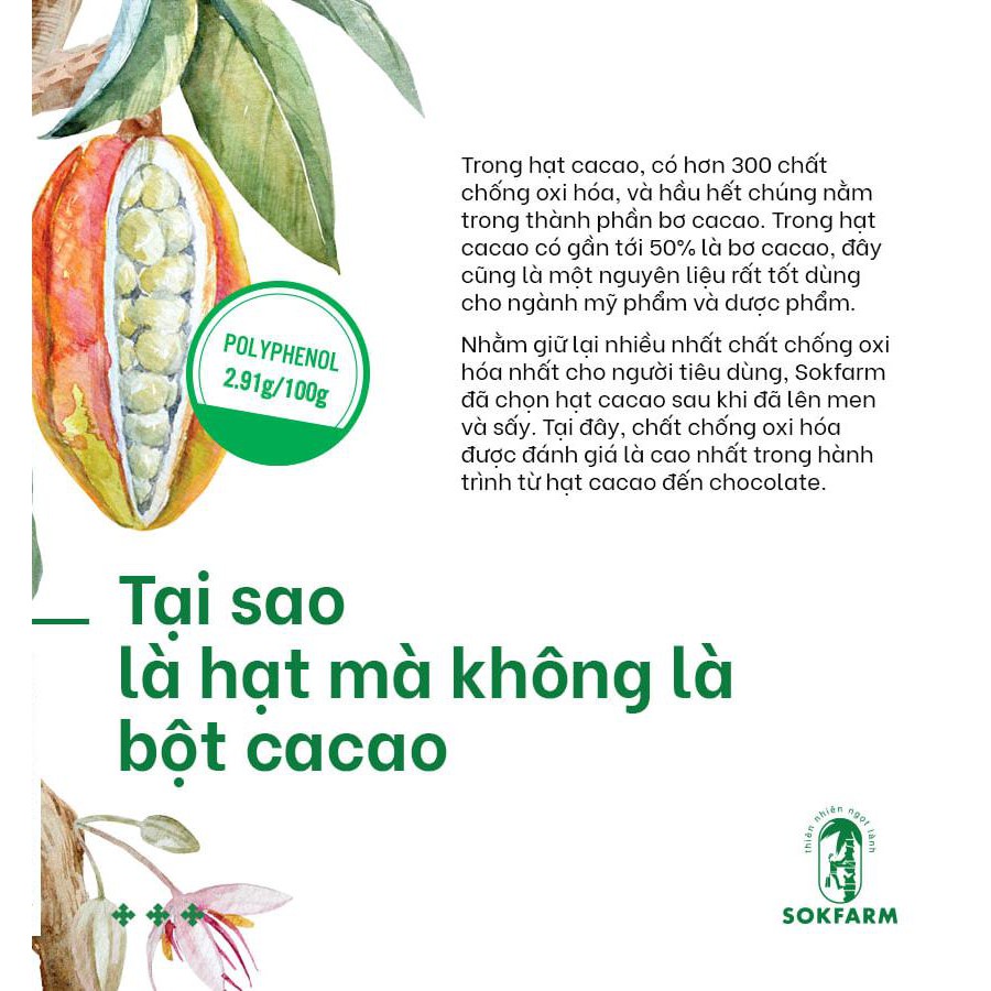 Hạt cacao sấy mật hoa dừa 75g