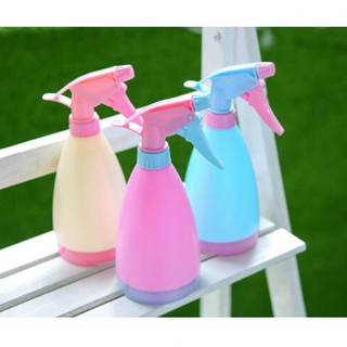 Bình tưới cây cảnh Mini