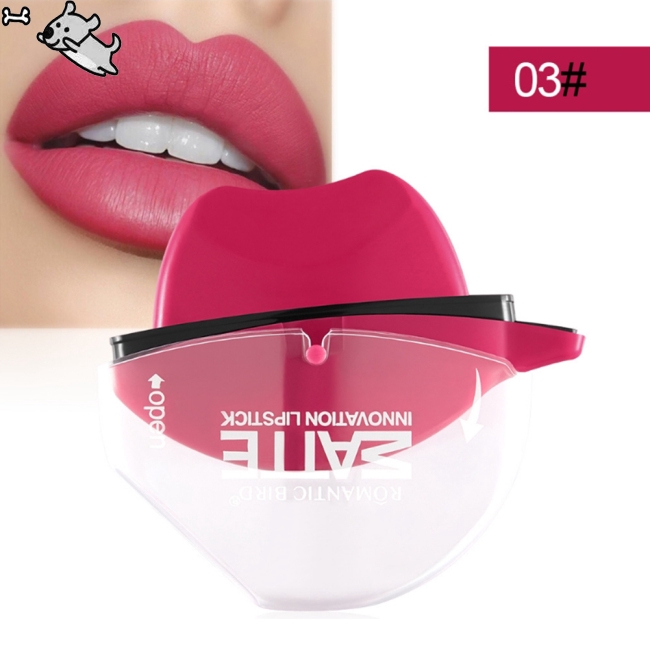 Matte Lipstick Lip Gloss Chic Modeling Lipstick Makeup Full Coverage Makeup Liquid Lipstick | BigBuy360 - bigbuy360.vn