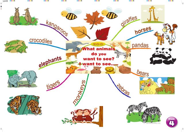 Tranh mindmap tiếng anh khổ a3 lớp 3.4.5