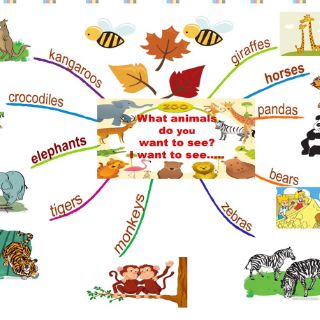 Tranh mindmap tiếng anh khổ a3 lớp 3.4.5