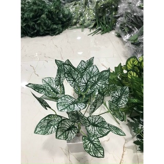 cụm lá 7 nhánh
