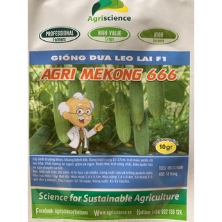 Hạt giống dưa leo lai f1 agri mekong 666