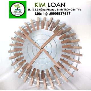 Chậu lan gỗ hình cốc 21x15cm