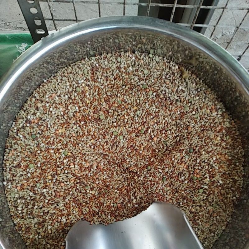 Ngũ cốc cho chim cu yến phụng 500g