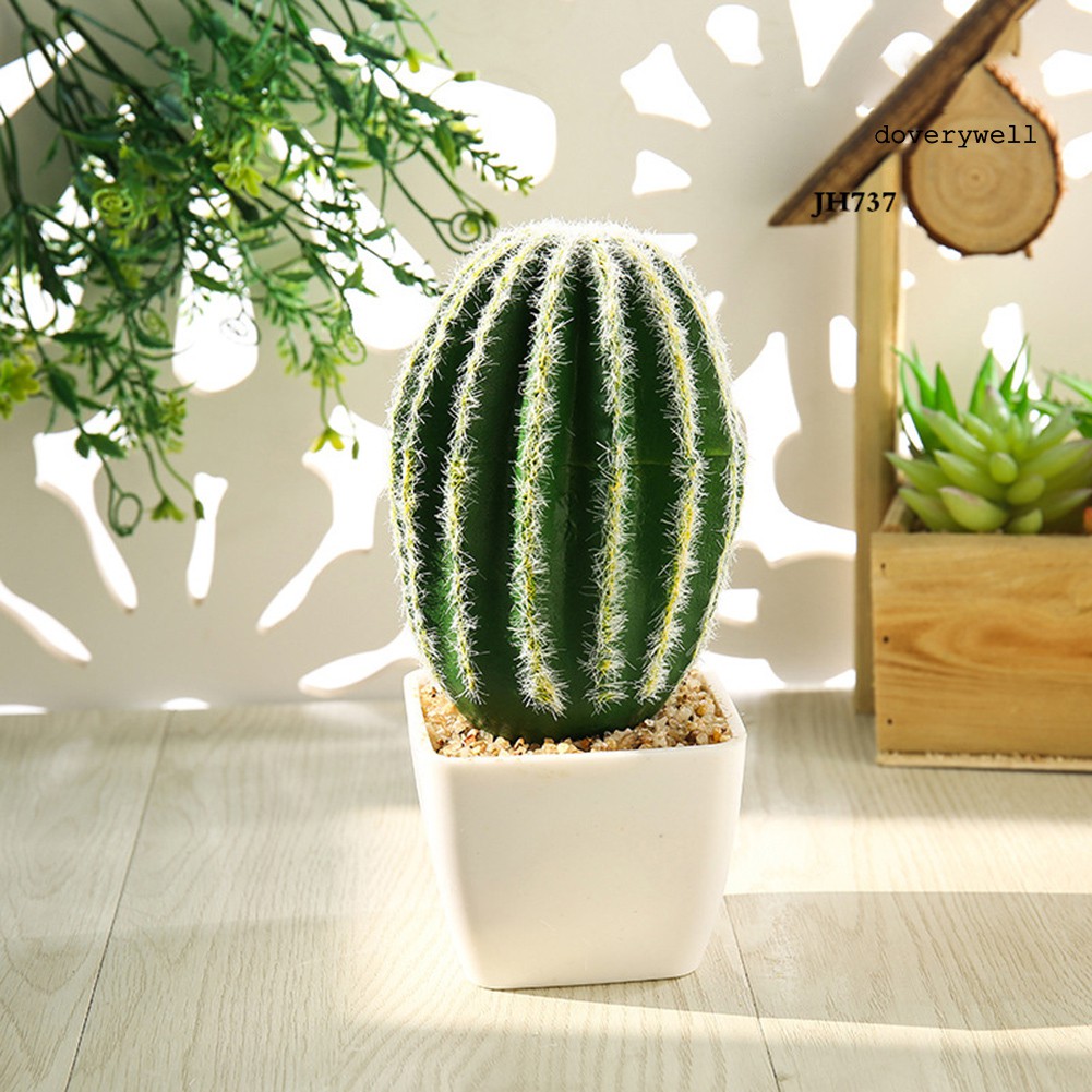 Cây xương rồng giả trang trí mini