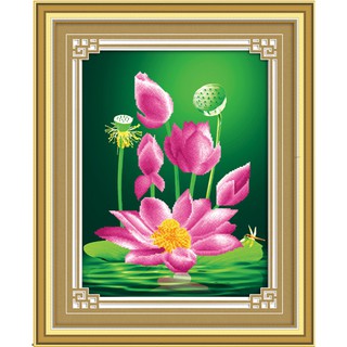 Tranh Thêu Chữ Thập 3D Hoa Sen Hương Ngát A1149 (Khách tự thêu) KT:41x52cm