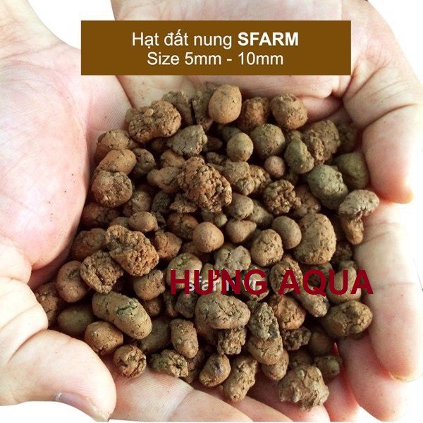 Sỏi đất nung SFARM sỏi nhẹ, giá thể trồng cây cảnh, thủy canh, trồng hoa lan, rau mầm 500g / 1kg