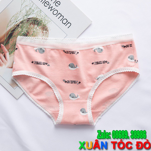 [Mã WASTDEP giảm 5K đơn bất kì] SỈ ZALO RẺ HƠN NHIỀU_ Quần Lót 5 Kiểu Cá Heo Cute N013 | BigBuy360 - bigbuy360.vn