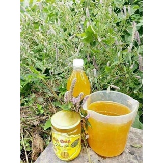 MẬT ONG BẠC HÀ _ ĐỒNG VĂN HÀ GIANG