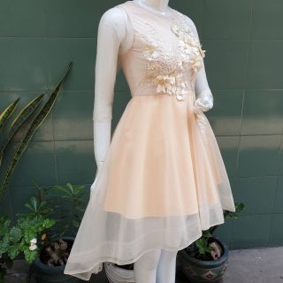 Công chúa đuôi tôm (ảnh thật shop chụp)