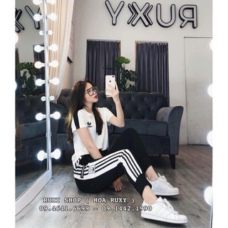 Set TT Das Logo siêu đẹp