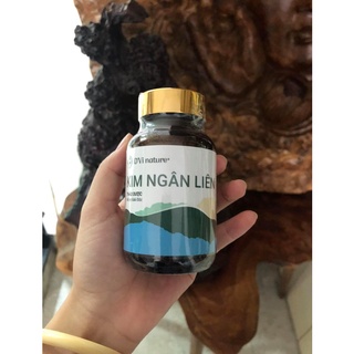 Kim Ngân Liên DVi Nature