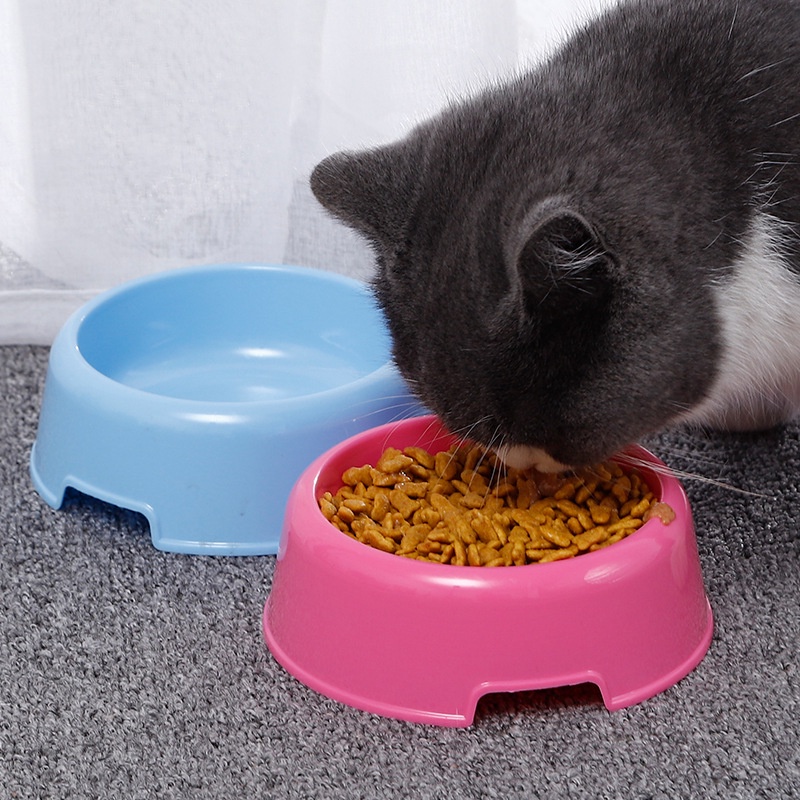 Chén ăn chó mèo bát đơn nhựa đựng thức ăn nhiều màu, phụ kiện thú cưng Con Mèo Xiêm