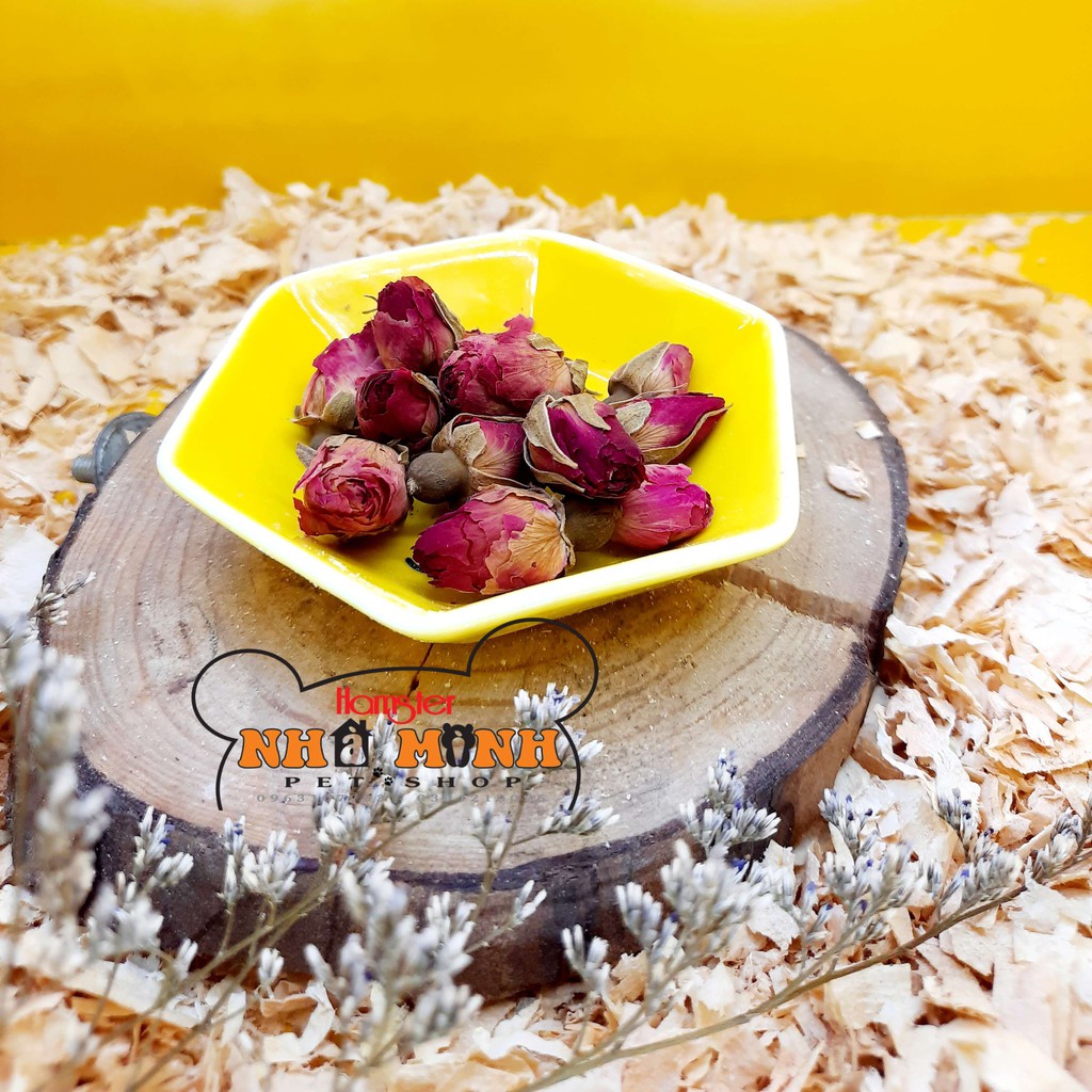 Thức ăn dặm cho hamster