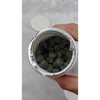 Viên thức ăn dán bể cá cảnh thủy sinh