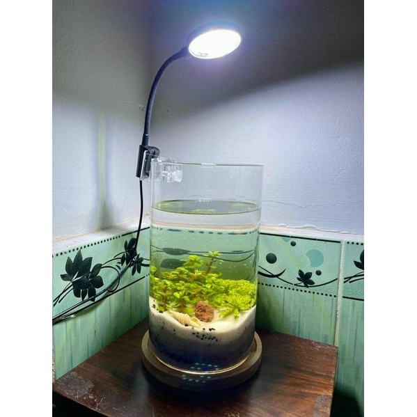 Đèn Led Kẹp Máng Tròn Cho Hồ Cá Tép Mini | Đèn Coco JY-25