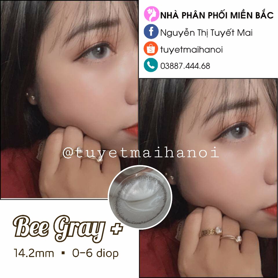 [ Ảnh Thật ] Lens Cận Màu Xám Tây Nổi Bật Bee Gray 14.2mm - Kính Áp Tròng Hàn Quốc Vassen Sexy Me