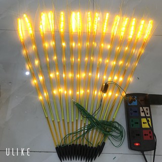 ⚡ 10 Bông Lúa⚡ Led Bông Lúa