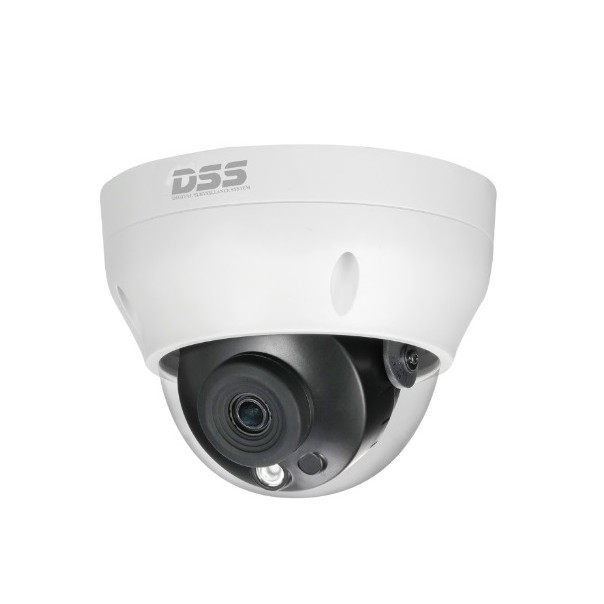 Camera IP 4MP Dahua DS2431RDIP-S2 (hàng chính hãng DSS BH 24T)