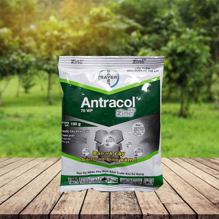 ANTRACOL - Thuốc trừ nấm bệnh cho hoa lan, hoa hồng, cây cảnh các loại...