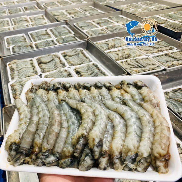 [Mã 267FMCGSALE giảm 8% đơn 500K] [NowShip] Giá Sỉ 1Kg Thịt Tôm Thẻ Lột Size Lớn | BigBuy360 - bigbuy360.vn