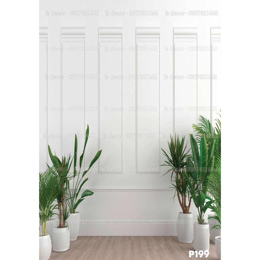 Phông Nền Chụp Ảnh và Livestream Màu Trắng Đơn Giản Hot Nhất 3D 5D