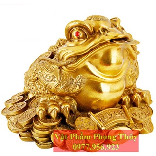 Thiềm thừ - cóc ngậm tiền đồng tài lộc cỡ đại