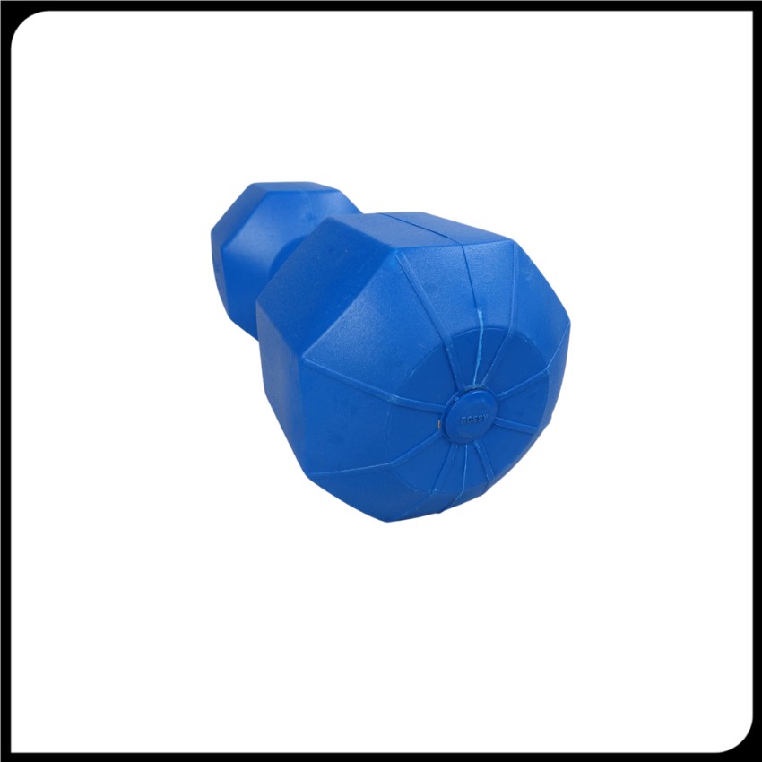 Tạ tay 10kg Bộ gồm 2 cái tạ đơn 10kg bát giác màu xanh