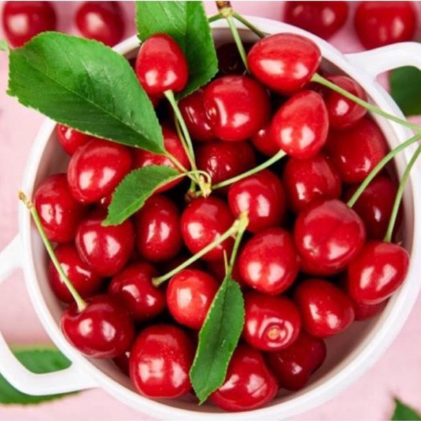 Cây cherry Brazil choai cao 80-90 cm (ảnh chụp thật tại vườn) .