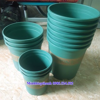 combo 7 chậu cỡ số 3, 3 chậu cỡ số 2, 3 chậu cỡ số 1