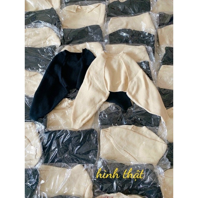 Áo khoác croptop cánh dơi tay bo phồng chất len thun cao cấp - R0/JJ5C