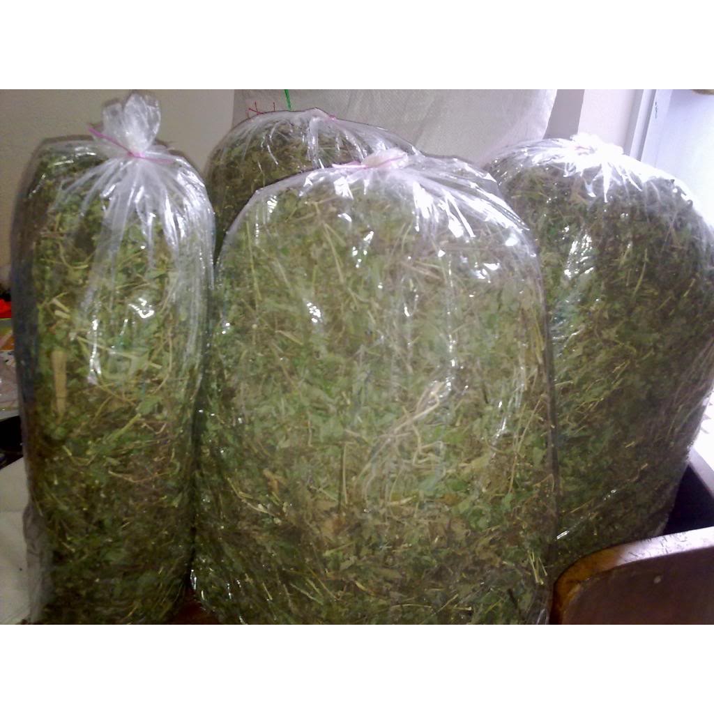 Lá Sài Đất khô 1kg