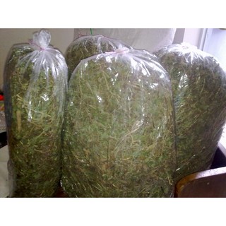Lá Sài Đất khô 1kg