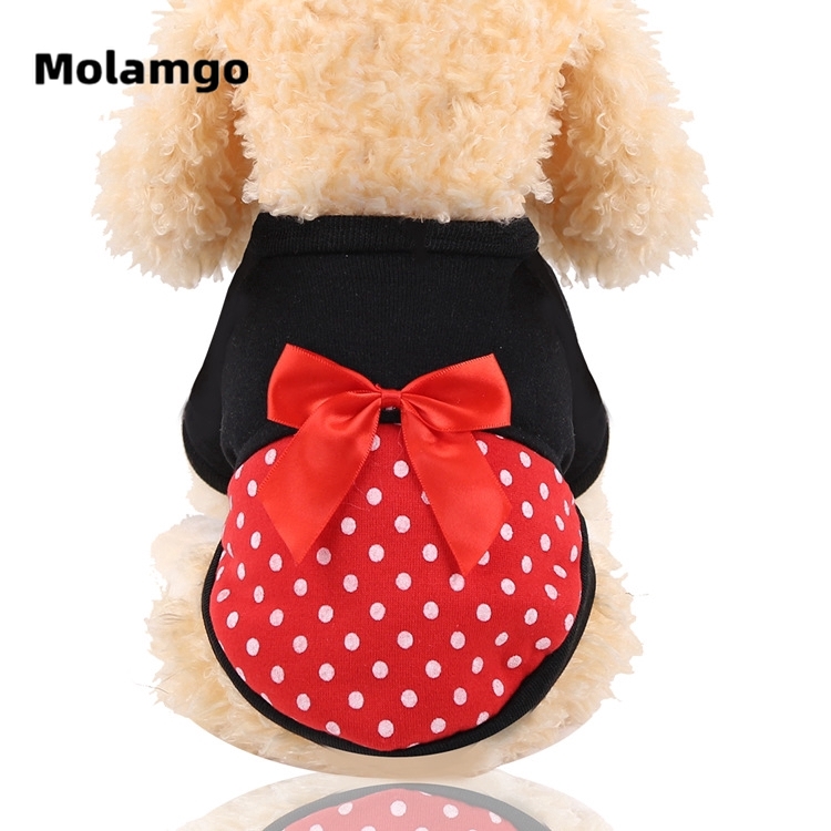 MOLAMGO  Trang phục thu đông kiểu dáng dễ thương đáng yêu dành cho thú cưng