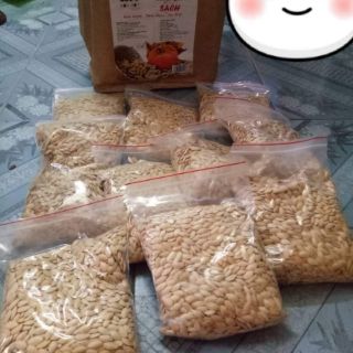 HẠT BÍ RANG SẠCH THƠM NGON