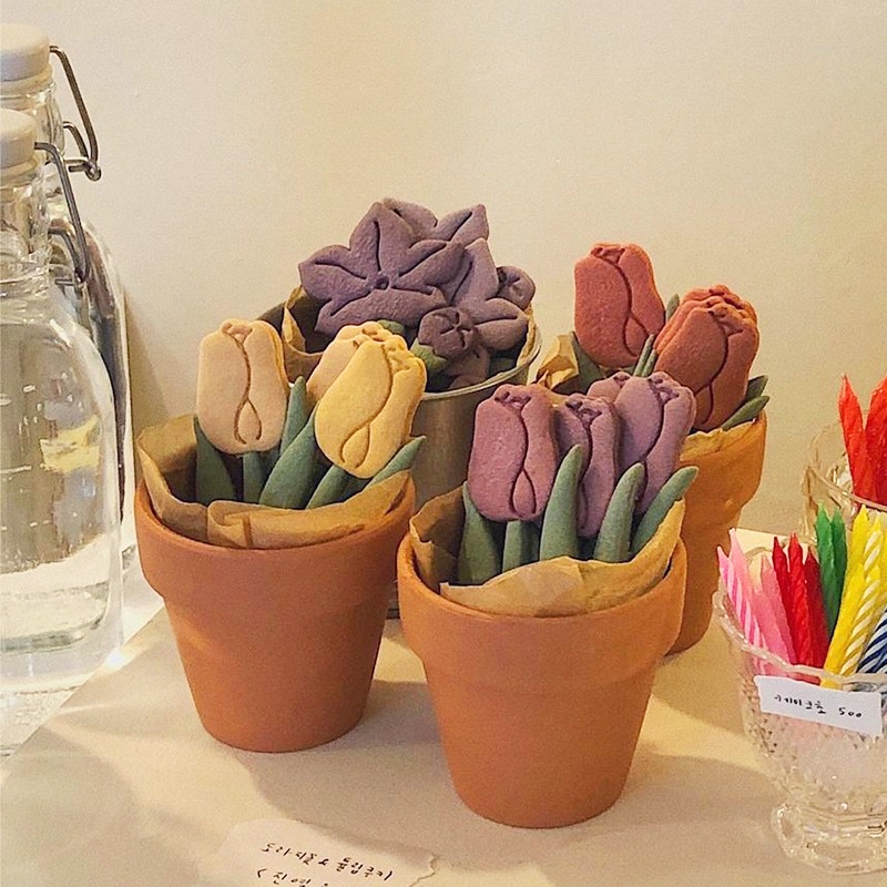Bộ khuôn nhựa cắt bánh quy hình hoa tulip