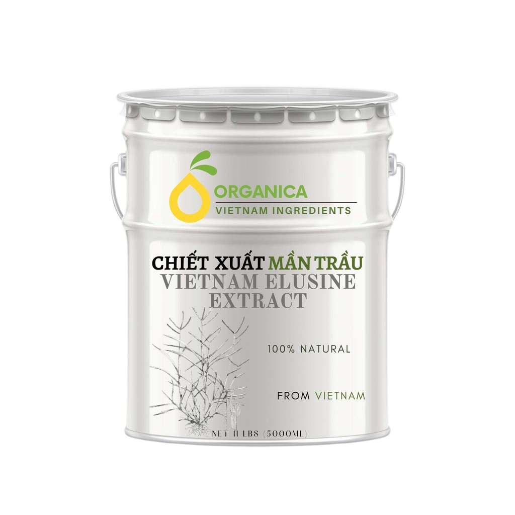 Chiết xuất mần trầu (Goose grass extract) - Chiết xuất thiên nhiên (Natural Extract)