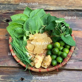 Cây húng chanh hoặc ( 100 gram lá )