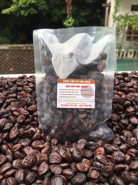 Hạt dổi nếp rừng (loại 1, 350-400 hạt) | BigBuy360 - bigbuy360.vn