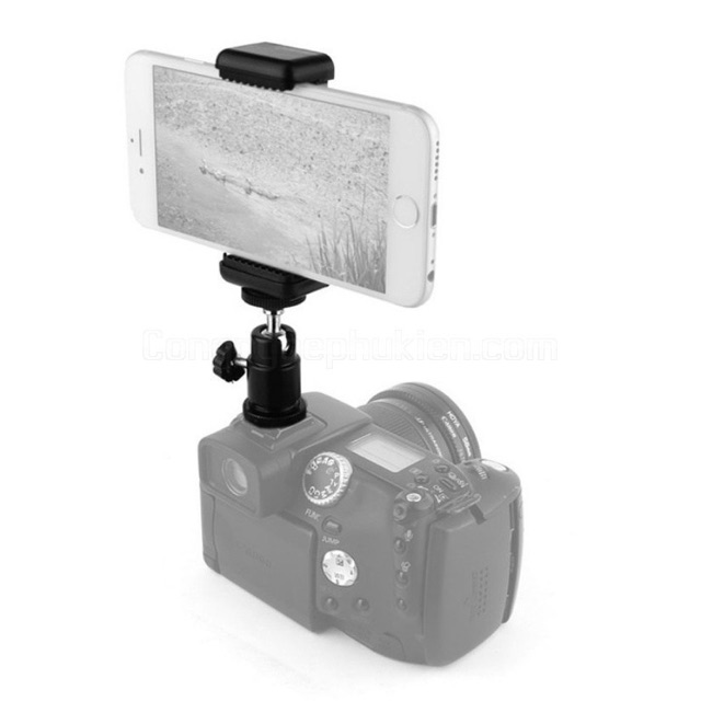 Đầu Chuyển Chân Flash Hot Shoe Sang Ball Head 1/4-inch