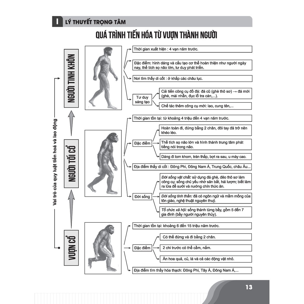 Sách - Bí quyết chinh phục điểm cao Lịch sử 10