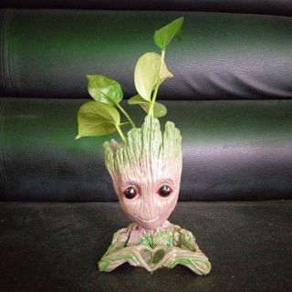 Chậu Baby Groot