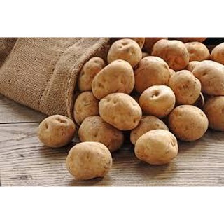 Khoai tây bán buôn tại Hà Nội