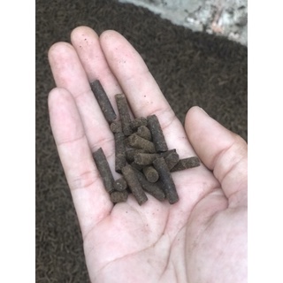 Phân trùn quế viên nén